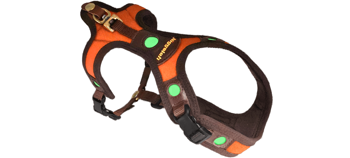 Niggeloh Zweet Harnass Follow Light LICHTBLICK